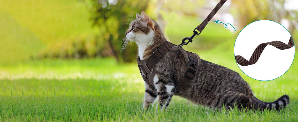 The Ultimate Breathable Cat Walking Harness